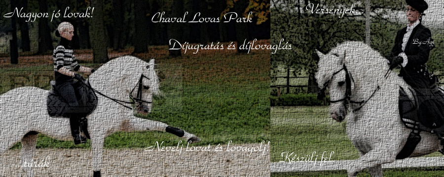 Chaval Lovas Park